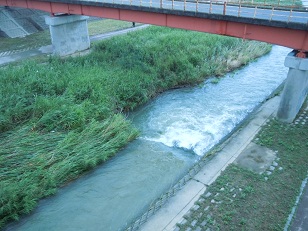 増水した川