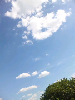 夏空雲