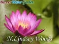 N.Lindsey Woods