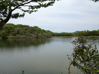 森林公園植物園　岩本池