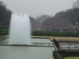 竹の台の噴水広場