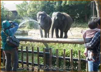 20131101　女の子　水鉄砲１　　動物園
