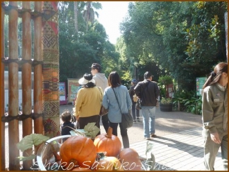 20131101　入口　動物園