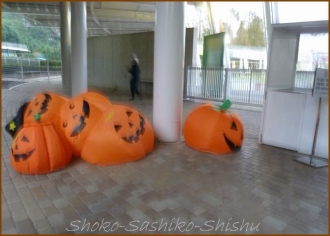 20131102　お疲れかぼちゃ　動物園
