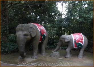 20131102　象クリスマス　動物園