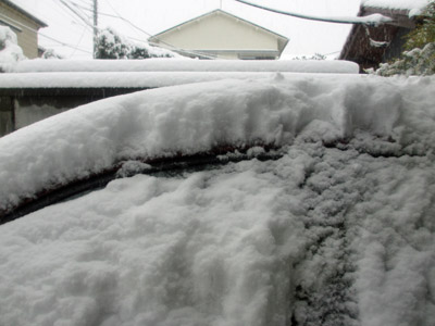 車の上の積雪