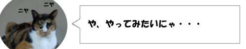 奈良県でリアルマリオカートが発見された